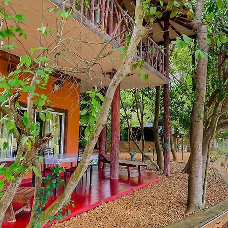 V Cabanas & Yala Safari Place تيساماهاراما المظهر الخارجي الصورة