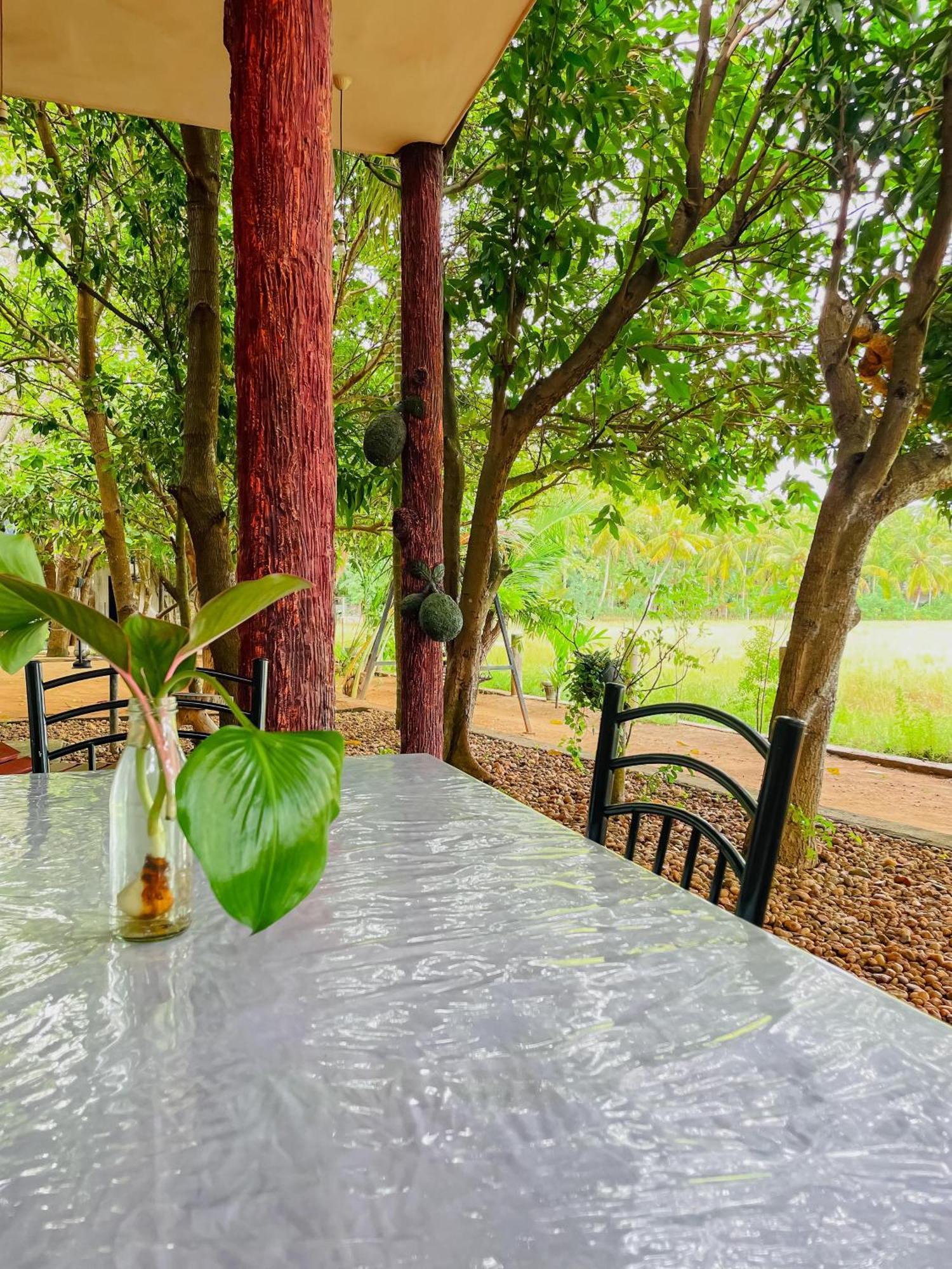 V Cabanas & Yala Safari Place تيساماهاراما المظهر الخارجي الصورة