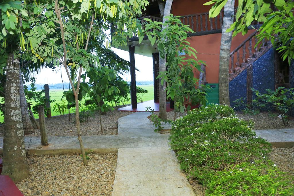 V Cabanas & Yala Safari Place تيساماهاراما المظهر الخارجي الصورة