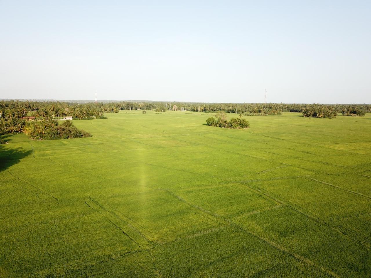 V Cabanas & Yala Safari Place تيساماهاراما المظهر الخارجي الصورة